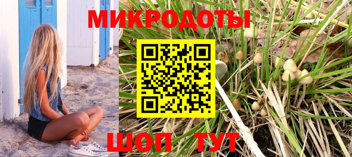 Галлюциногенные грибы прущие грибы Великие Луки